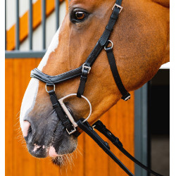 Bridon d'Équitation Micklem 2 Deluxe - Performance et Confort Bridon d'Équitation Micklem 2 Deluxe - Performance et Confort
