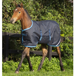 Couverture poulain Horseware Amigo Ripstop 200g