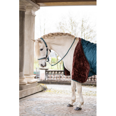 Couverture de boxe Winter II  HKM