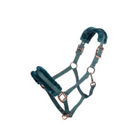 Licol Rosegold Glamour Style HKM Pétrole / or rose