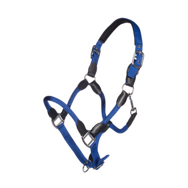Licol Carlotta HKM Bleu