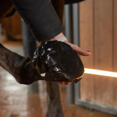 Cataplasme équitation sel d’Epsom cheval – Grooming Deluxe
