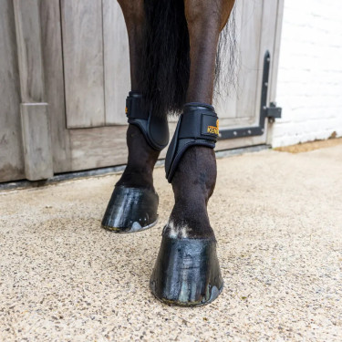 Protège boulet Young horses Classic Kentucky Noir