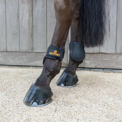 Protège boulet Young horses Classic Kentucky Noir