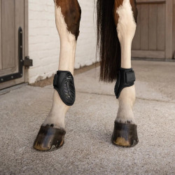 Protège boulet Young horses Pro Kentucky Noir