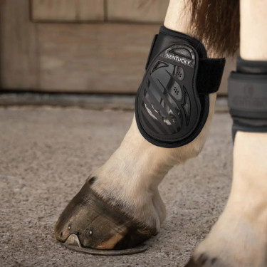 Protège boulet Young horses Pro Kentucky Noir