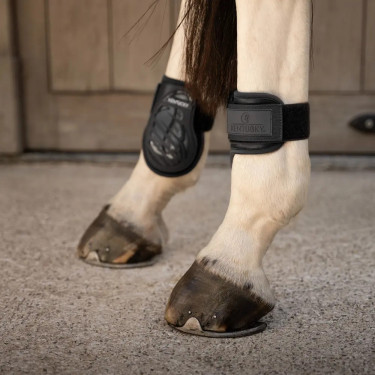 Protège boulet Young horses Pro Kentucky Noir