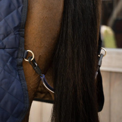 Couverture d’écurie et transport Kentucky Horsewear – équitation