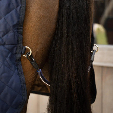 Couverture d’écurie et transport Kentucky Horsewear – équitation