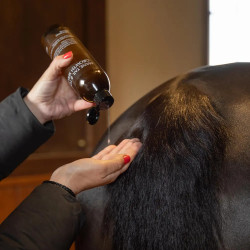 Sérum repousse crinière/queue cheval – Grooming Deluxe Sérum repousse crinière/queue cheval – Grooming Deluxe