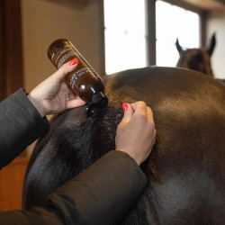 Sérum repousse crinière/queue cheval – Grooming Deluxe Sérum repousse crinière/queue cheval – Grooming Deluxe