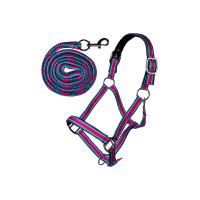 Licol et longe mousqueton Manchester HKM