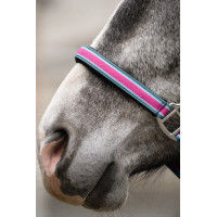 Licol et longe mousqueton Manchester HKM