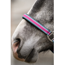 Licol et longe mousqueton Manchester HKM