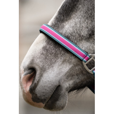 Licol et longe mousqueton Manchester HKM
