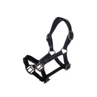 Licol en cuir Verni Hobby Horsing HKM