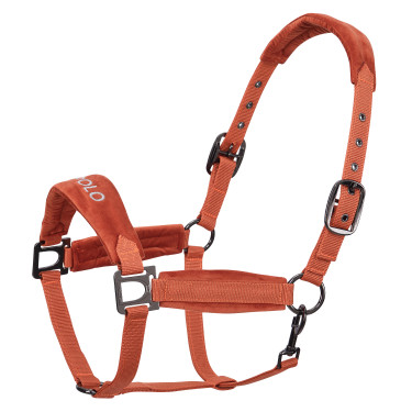 Licol HV Polo Luxury Pumpkin Orange Licol HV Polo Luxury Pumpkin Orange