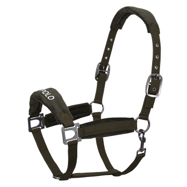 Licol HV Polo Luxury Vert forêt Licol HV Polo Luxury Vert forêt
