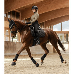 Guêtre de dressage Phoenix Waldhausen Guêtre de dressage Phoenix Waldhausen