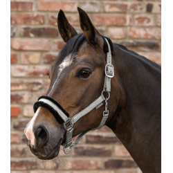 Licol Waldhausen Elegant Sauge Violet