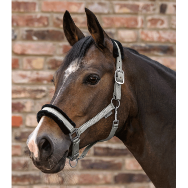 Licol Waldhausen Elegant Sauge Violet