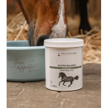 Complément gastrique cheval Waldhausen – Équitation Complément gastrique cheval Waldhausen – Équitation