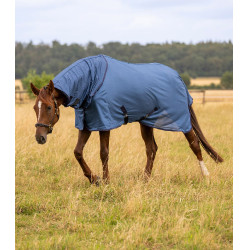 Couverture anti-mouches cheval avec couvre-cou – Equi-Clic