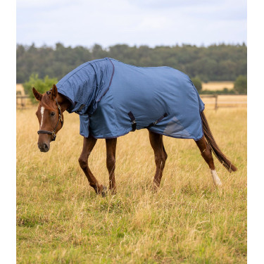 Couverture anti-mouches cheval avec couvre-cou – Equi-Clic
