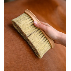 Bouchon dure Waldhausen Exclusive Line Bois Beige