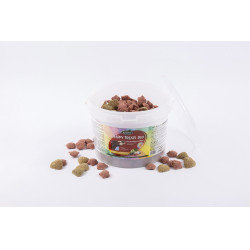 Happy treats duo Ravene Happy treats duo Ravene