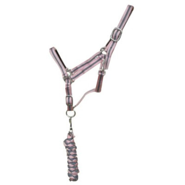 Licol synthétique doublé + longe tressée américaine T de T Licol synthétique doublé + longe tressée américaine T de T
