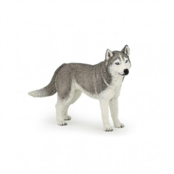 Figurine Husky de Sibérie Papo