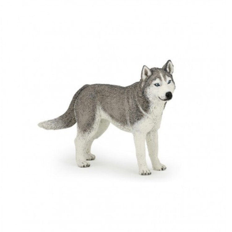 Figurine Husky de Sibérie Papo