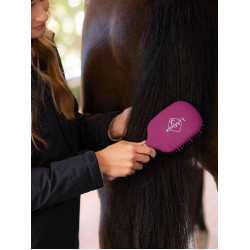 Brosse LeMieux Tangle Tidy Plus - Idéale pour Démêler les Poils de vos Cheval Brosse LeMieux Tangle Tidy Plus - Idéale pour Démêler les Poils de vos Cheval