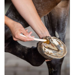 Soin sabot cheval Keralit contre pourriture fourchette