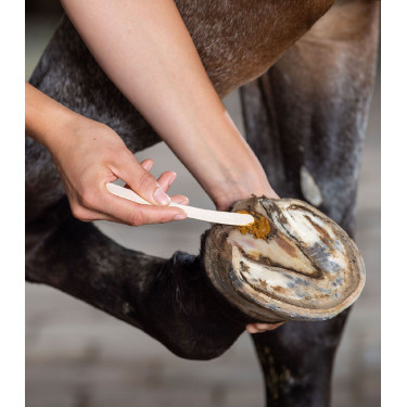 Soin sabot cheval Keralit contre pourriture fourchette