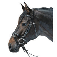 Bridon Star Lifestyle Noir / noir Bridon Star Lifestyle Noir / noir