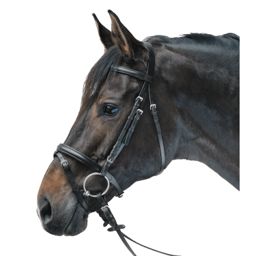 Bridon Star Lifestyle Noir / noir Bridon Star Lifestyle Noir / noir