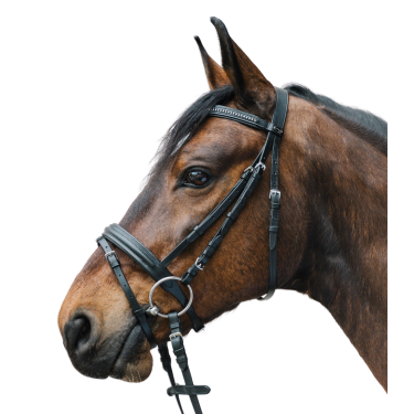 Bridon d'équitation chic avec strass colorés