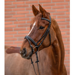 Bridon d'équitation chic avec strass colorés