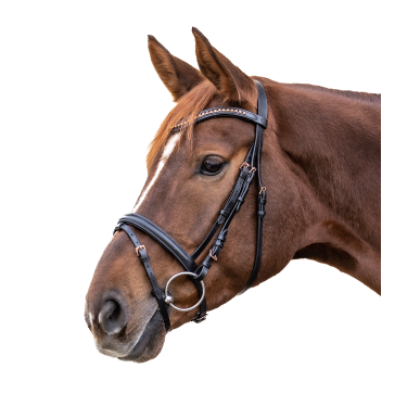 Bridon Rosemary Star Noir Bridon Rosemary Star Noir