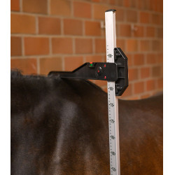 Toise Waldhausen cheval Gris