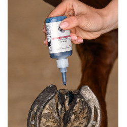 Soin sabot cheval - Fourchette et sole abîmées Soin sabot cheval - Fourchette et sole abîmées
