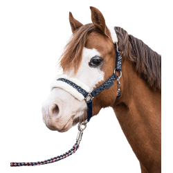 Licol d'équitation avec longe Waldhausen Lucky