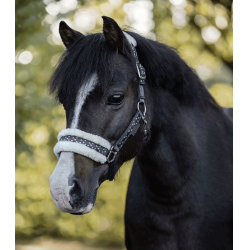 Licol d'équitation avec longe Waldhausen Lucky