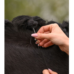 Set de tressage pour concours d’équitation