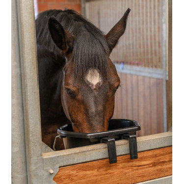 Seau d’écurie 20L robuste pour chevaux Seau d’écurie 20L robuste pour chevaux