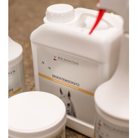 Protection intensive insectes Waldhausen