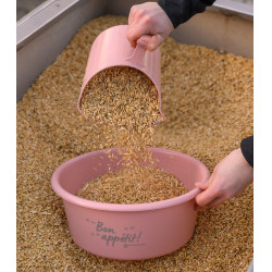 Pelle doseuse équitation 2L Waldhausen plastique gradué