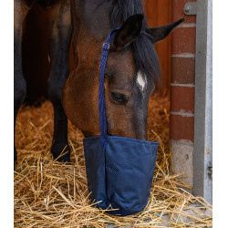 Panier Waldhausen randonnée Bleu